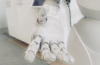 Automation and Robotics: Enhancing Efficiency and Productivity in Startup Operations